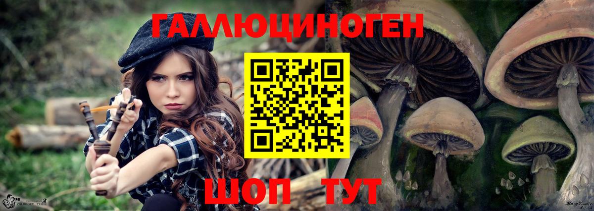 Псилоцибиновые грибы MAGIC MUSHROOMS  Вход с VPN  Псилоцибиновые грибы Cubensis  Кольчугино 
